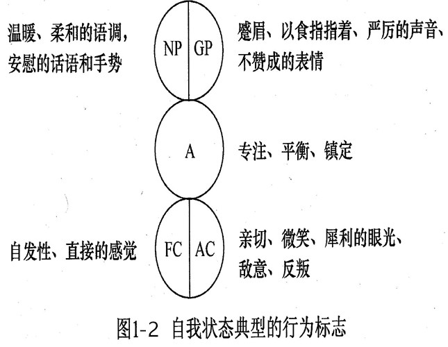 自我状态典型的行为标志