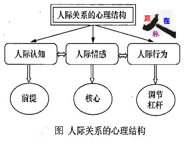 人机关系的心理结构